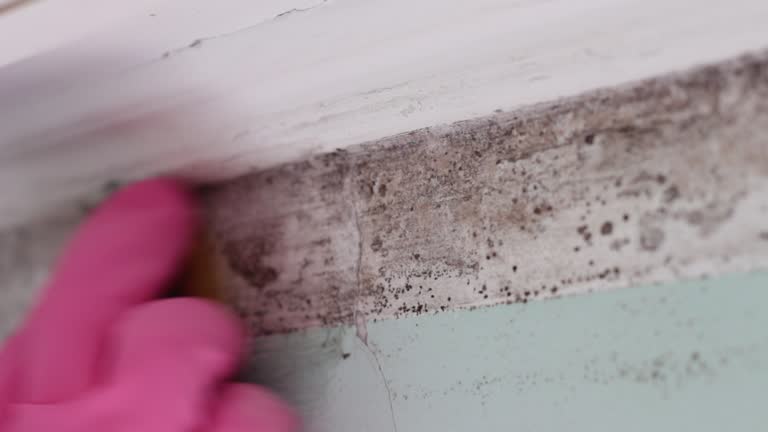 Asbestos and Lead Testing During Mold Inspection